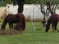 2016-09-23 circuit de D Huison 0008